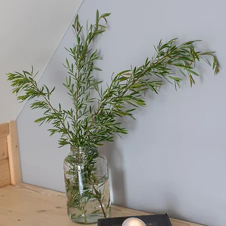 Osada Przystanek Alpstuga