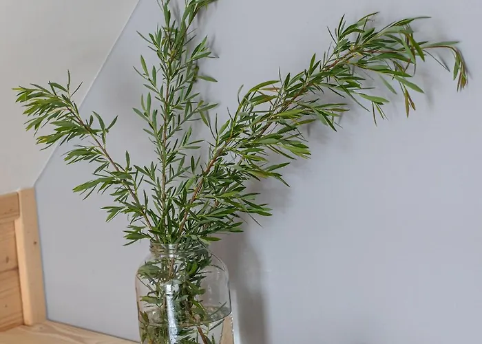 Osada Przystanek Domek alpejski